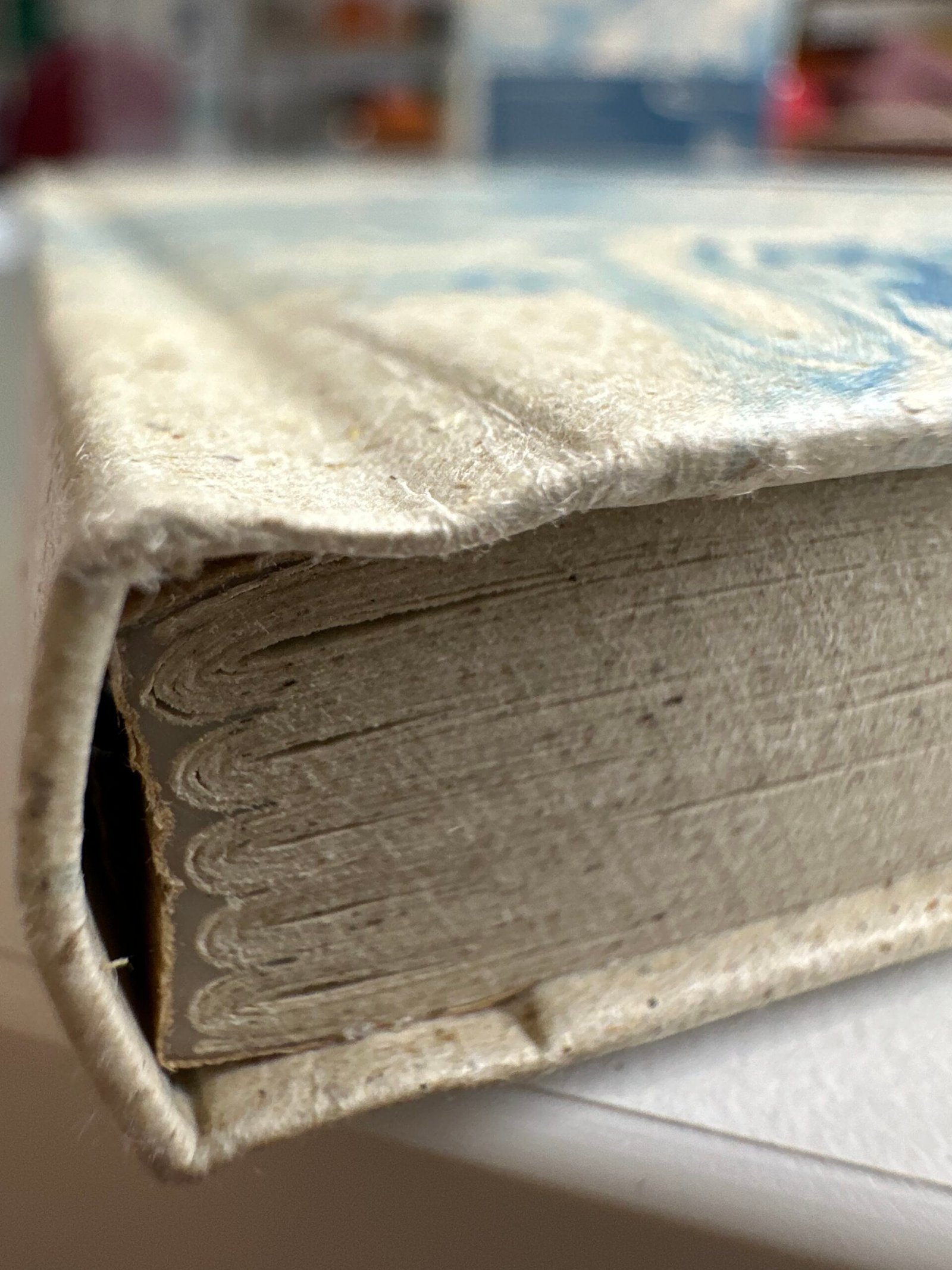 Grass paper - Image 3